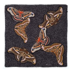 silk moth scarf flat