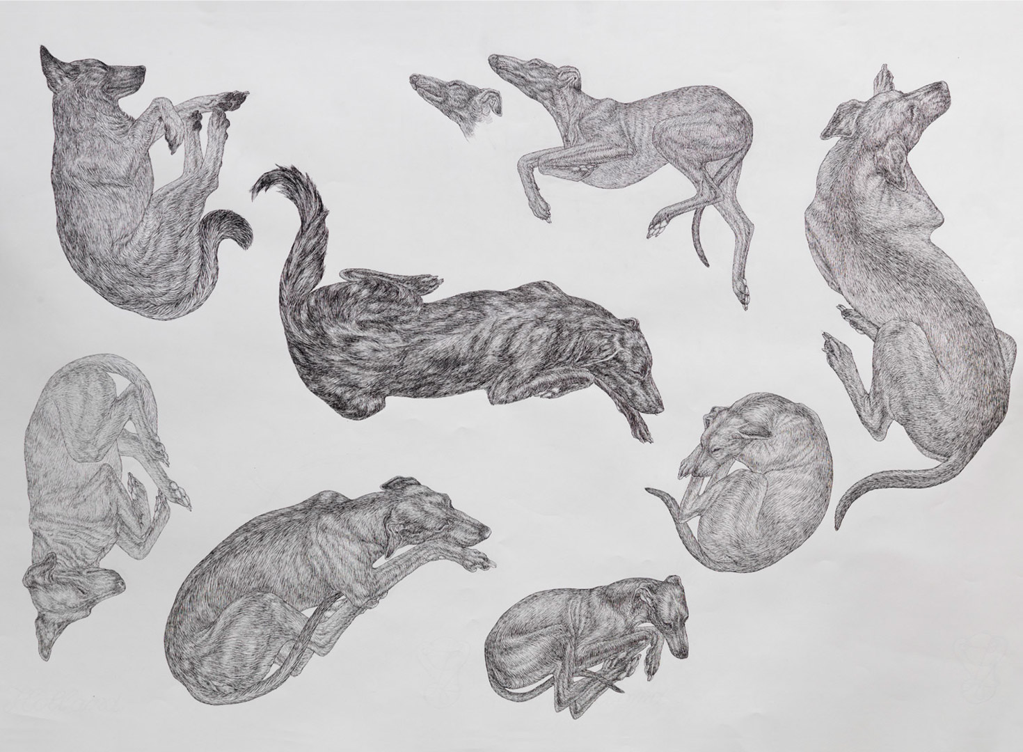 10-dogs-sheet-2