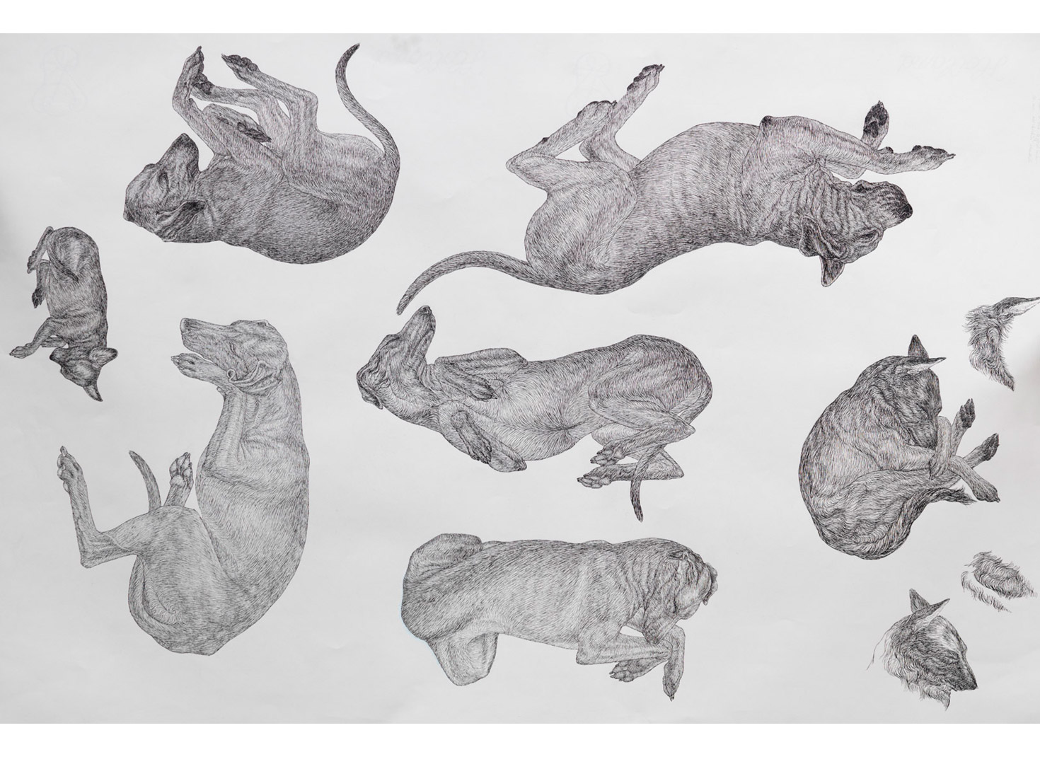 11-dogs-sheet-3-Arlette_Ess