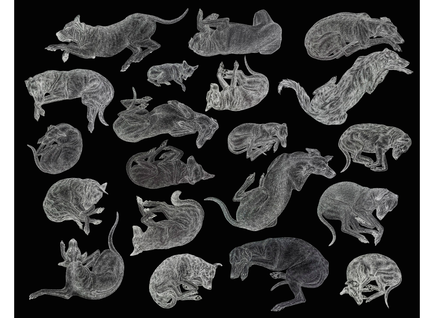 12-alldogs2-Arlette_Ess