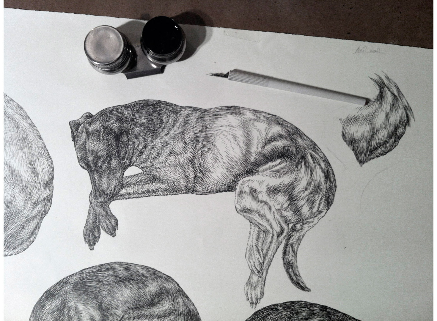 8-2-dog-drawing-Arlette_Ess