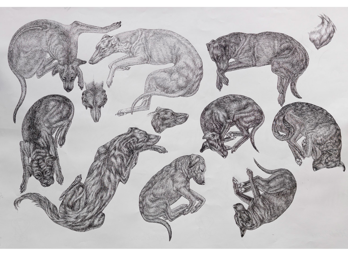 9-dogs-sheet-1