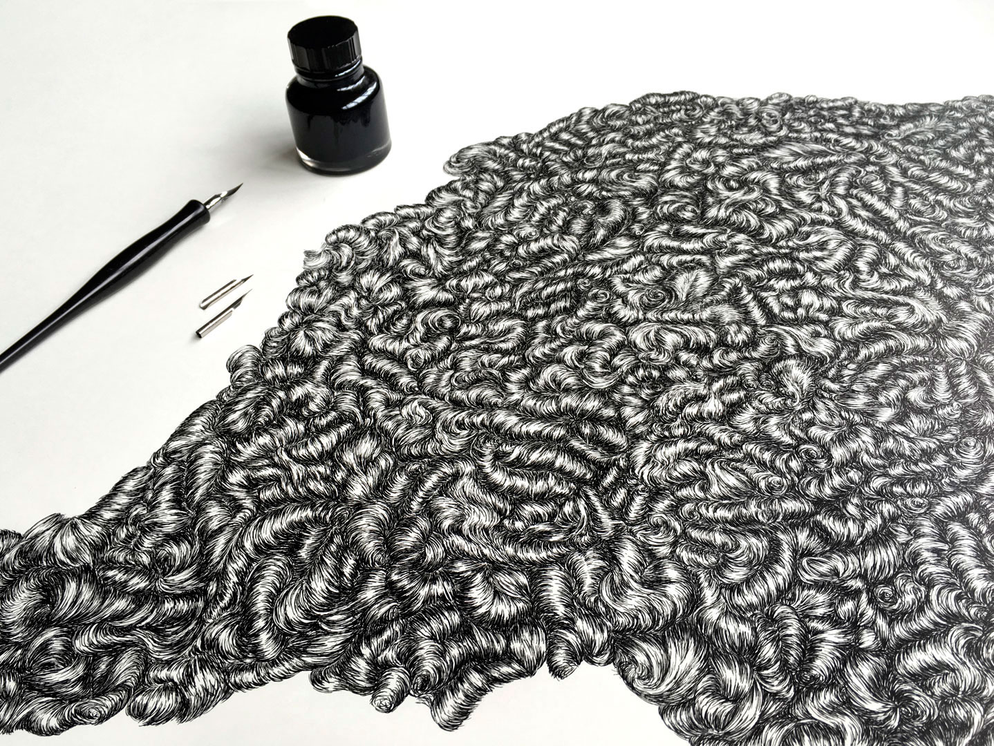 ARLETTE-ESS-drawing-astrakhan