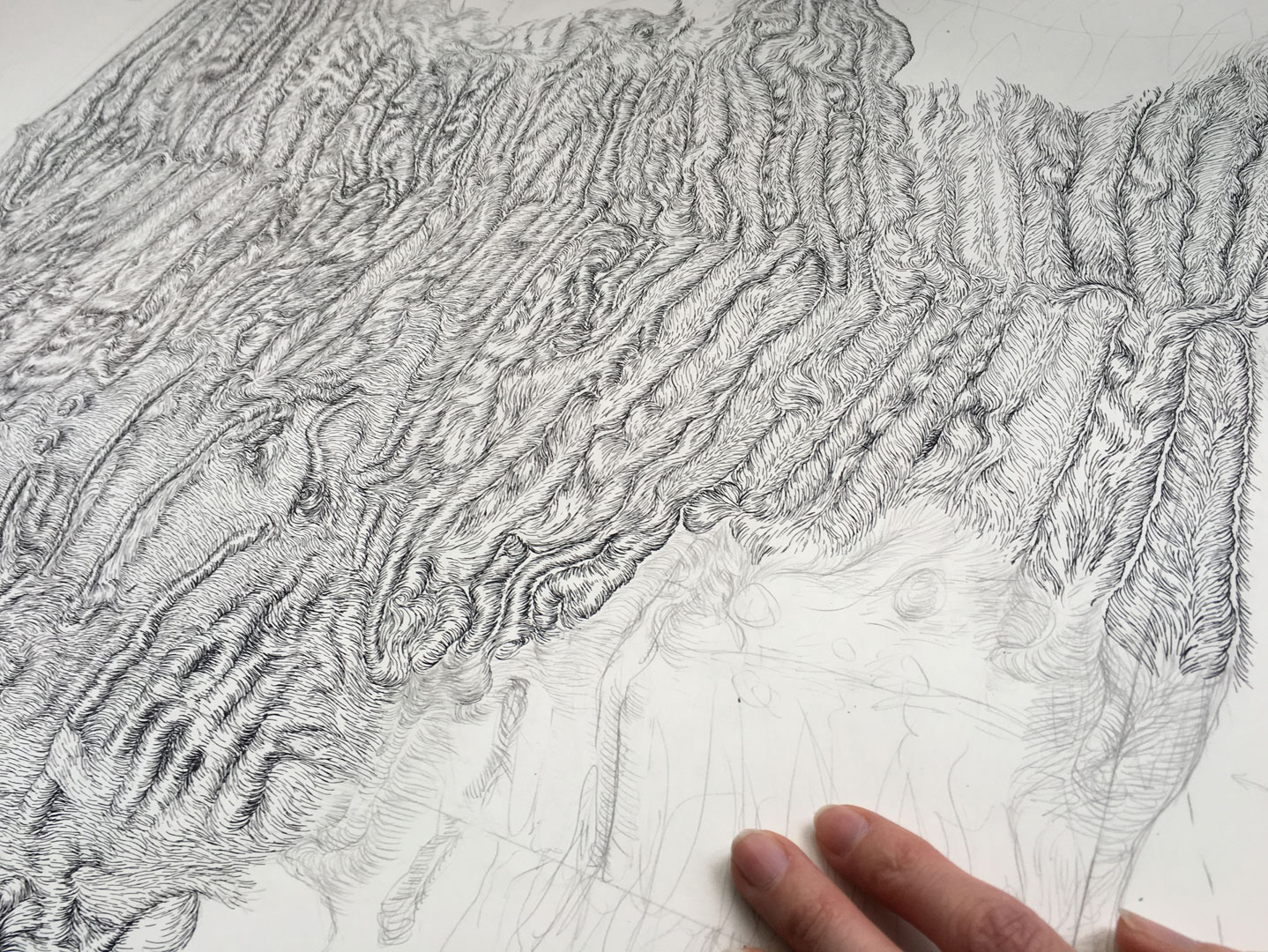 ARLETTE-ESS-swakara-drawing-1