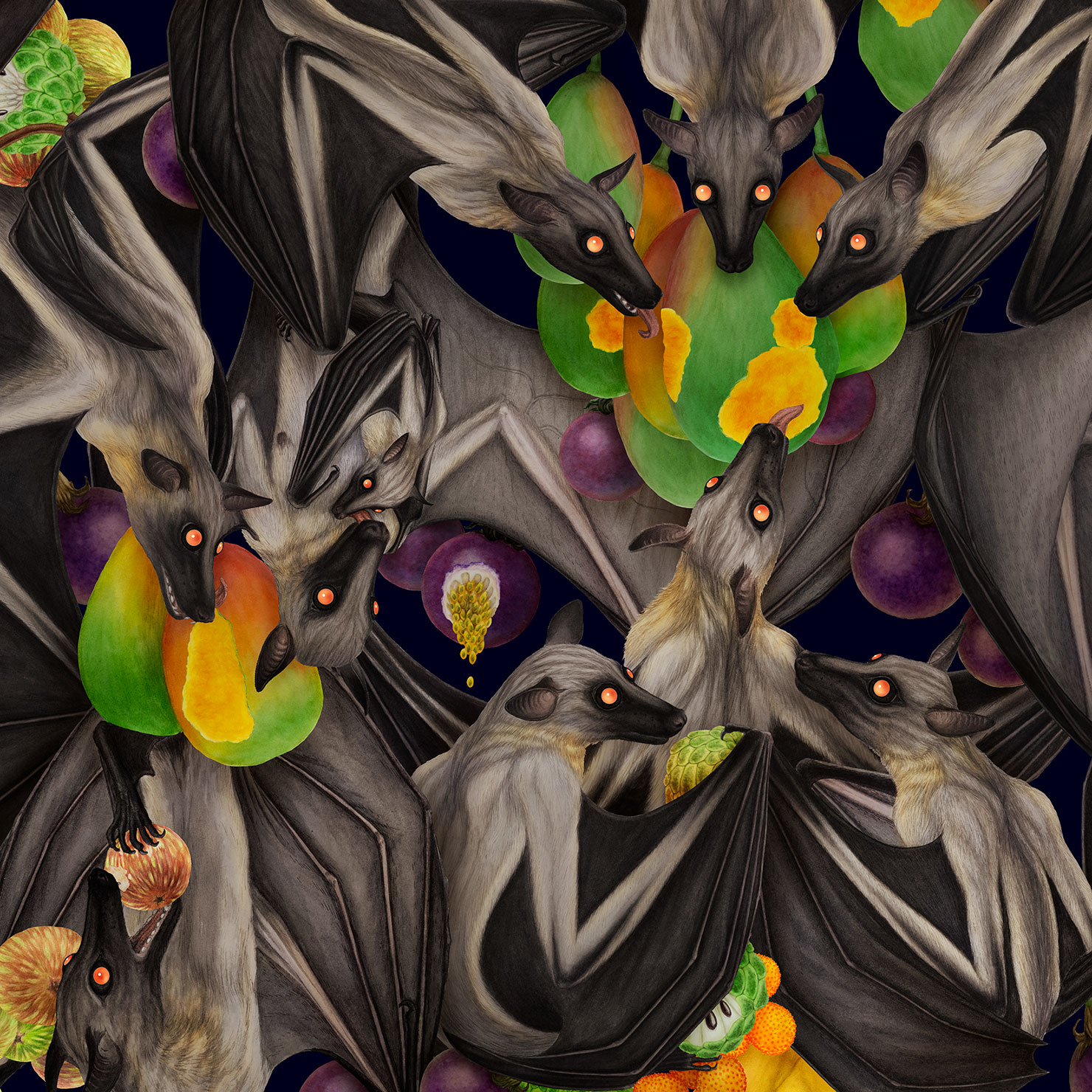 Fruit bats ‘Midnight’ artwork