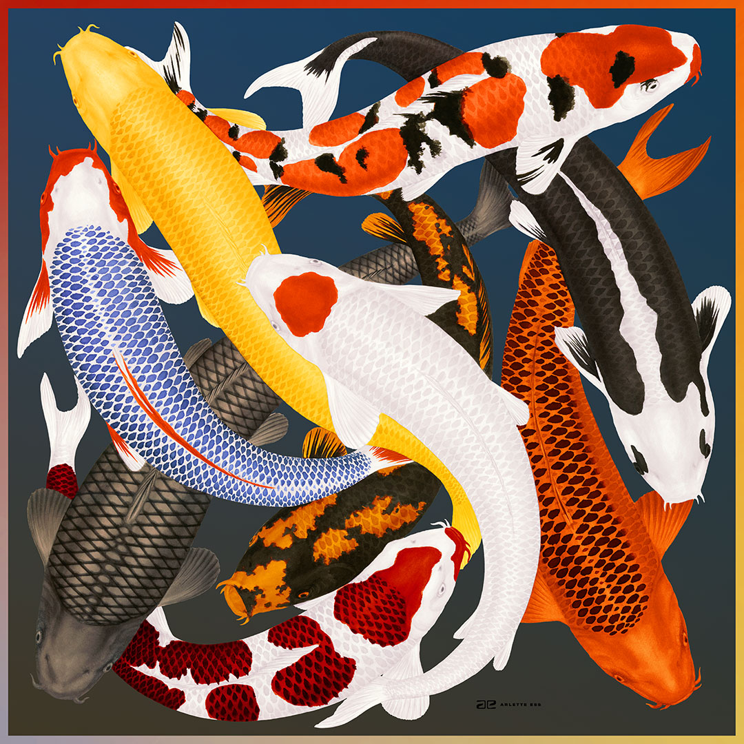 Koi2-colour by ARLETTE ESS