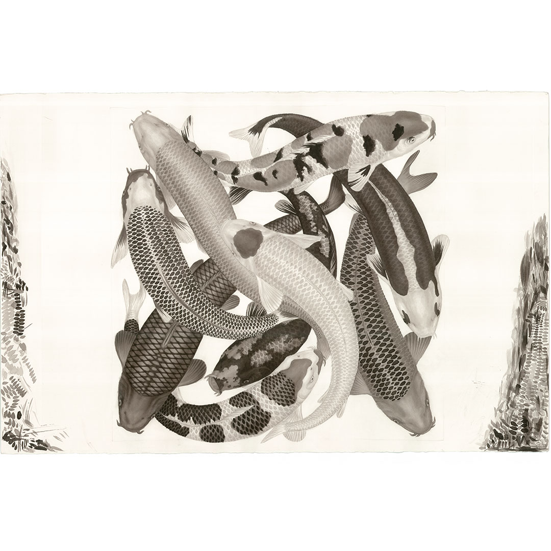 Koi 2 original ink painting