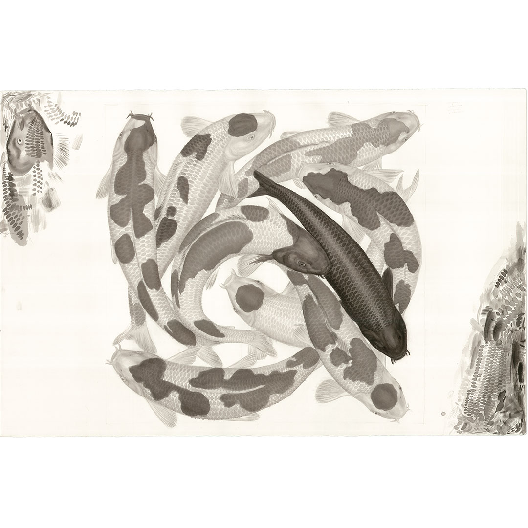 Koi 1 original ink painting