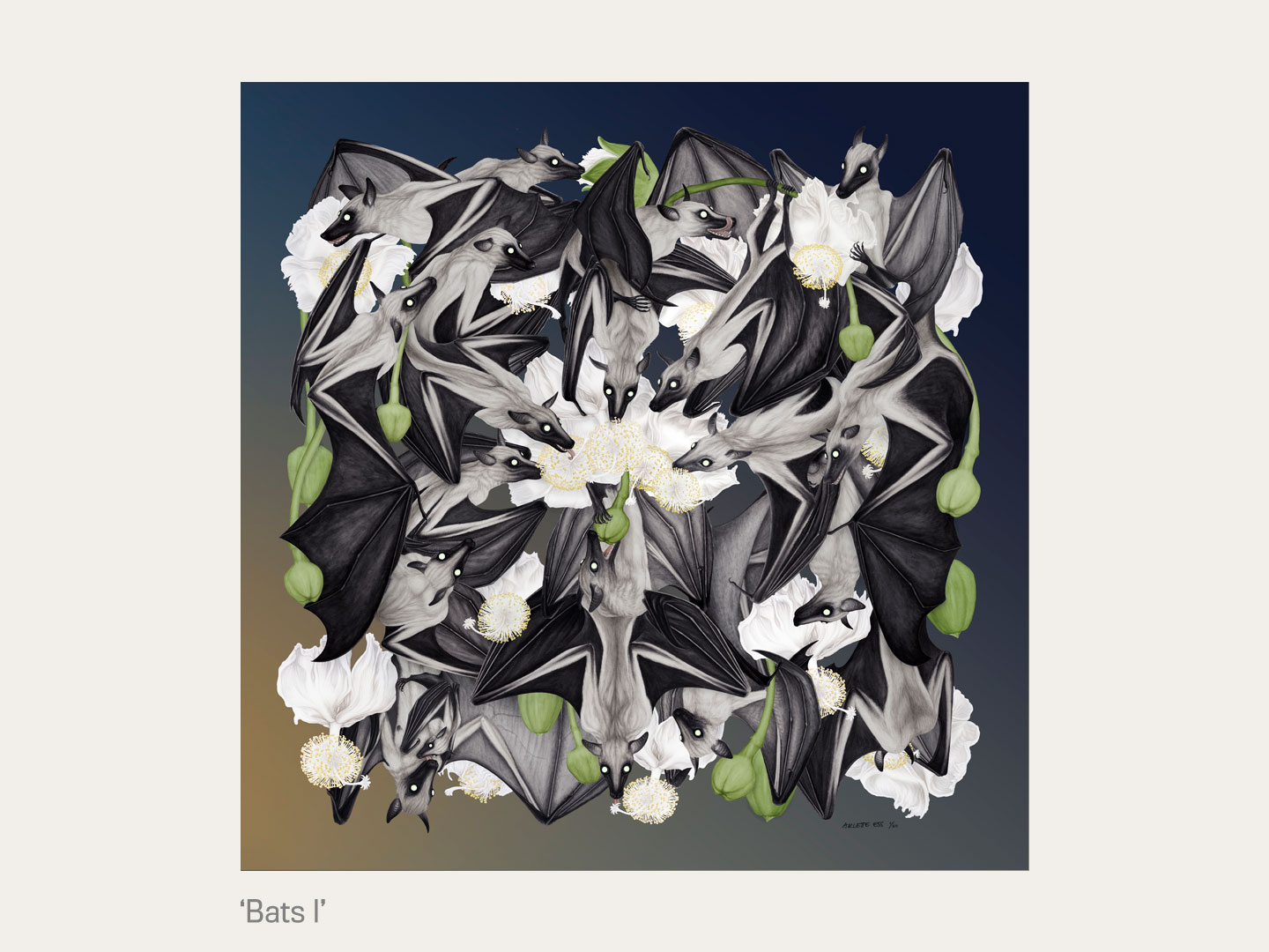 Bats 1 75x75cm unframed fine art print