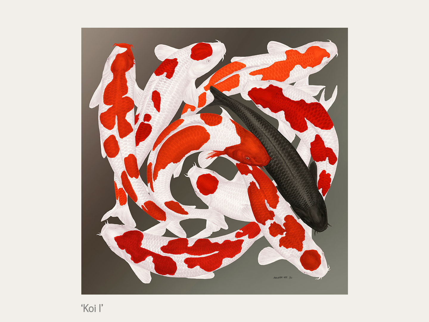 Koi-175x75cm unframed fine art print