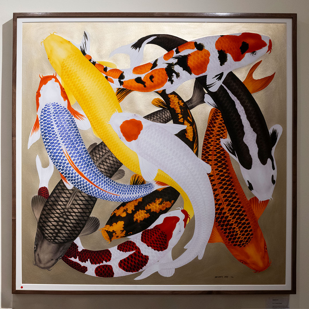 Koi 2 fine art print with metallic gold pigment background