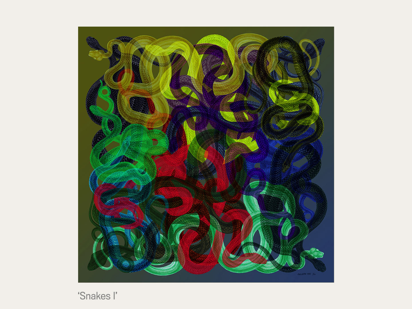 Snakes 1 75x75cm unframed fine art print