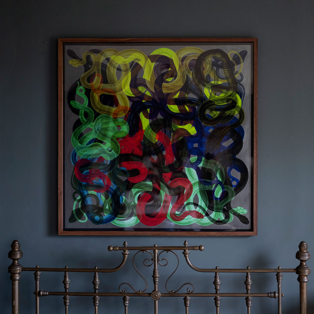 Snakes fine art print on metallic background