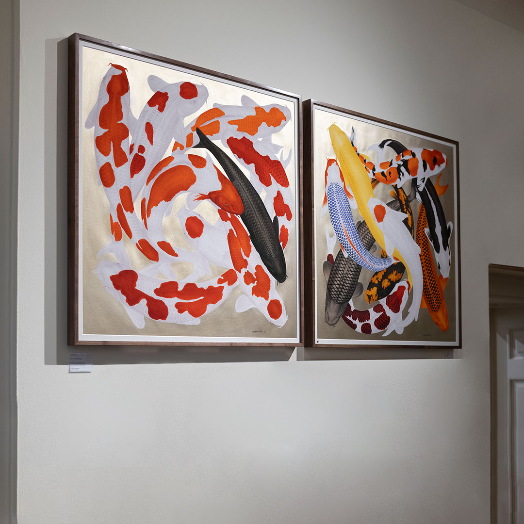 Two large Koi artworks framed on the wall